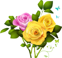 lovely spring flowers